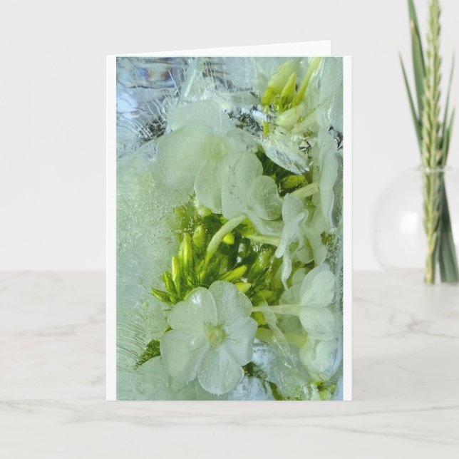 Iced Blossoms,  Card (Front)
