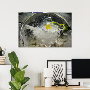 Iced Blossoms,  Poster