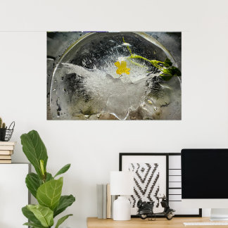 Iced Blossoms,  Poster