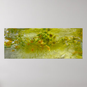 Iced Blossoms, Poster
