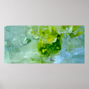 Iced Blossoms, Poster