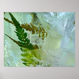 Iced Blossoms, Poster