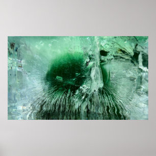 Iced Blossoms, Poster