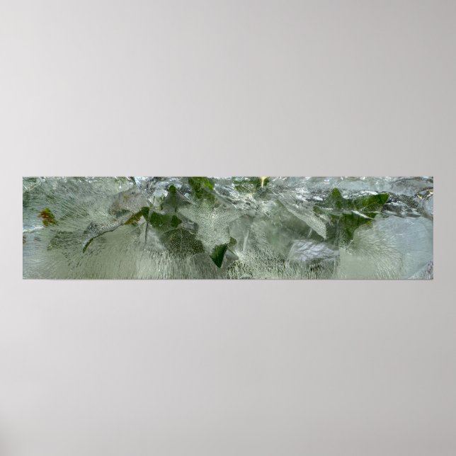 Iced Ivy,  Poster (Front)