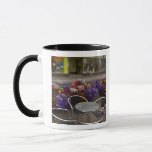 Iceland, Akureyri. View of the main business Mug