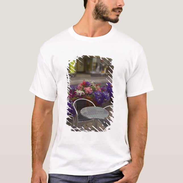 Iceland, Akureyri. View of the main business T-Shirt (Front)
