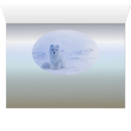 Iceland Arctic Fox (Inside Horizontal (Bottom))