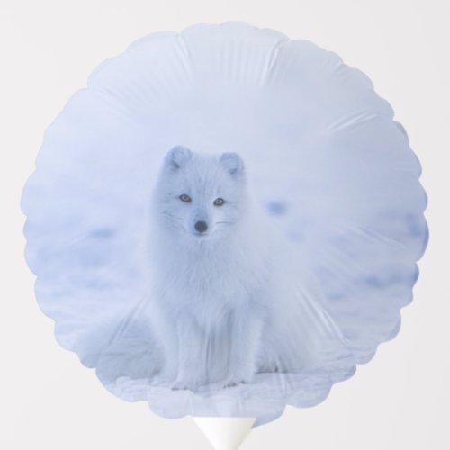 Iceland Arctic Fox Balloon