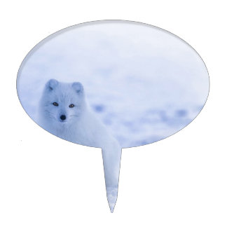 Iceland Arctic Fox Cake Topper