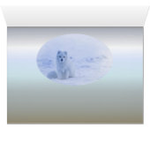 Iceland Arctic Fox Cards (Inside Horizontal (Bottom))