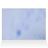 Iceland Arctic Fox Cards (Inside Horizontal (Top))