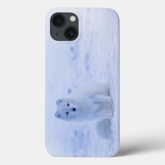 Iceland Arctic Fox Case-Mate iPhone Case (Back)