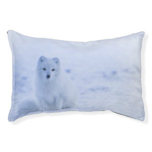 Iceland Arctic Fox Pet Bed