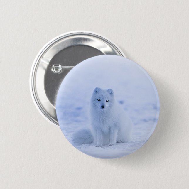 Iceland Arctic Fox Pinback Button (Front & Back)