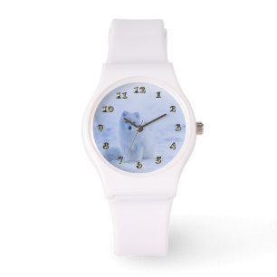 Iceland Arctic Fox Watch