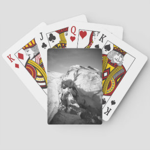 Iceland black and white glacier playing cards