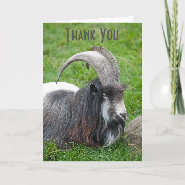 Iceland Goat thank you card (Front)