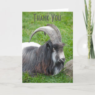 Iceland Goat thank you card