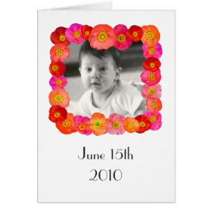Iceland Poppies Card
