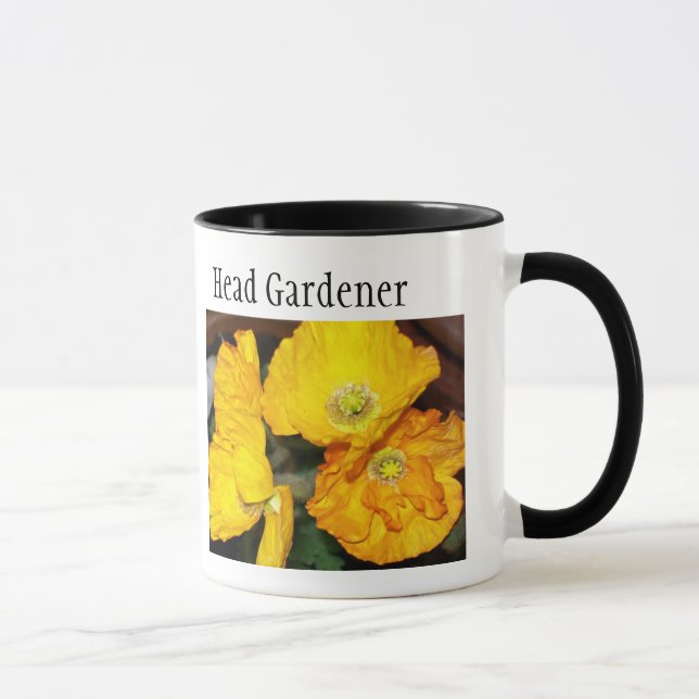 Iceland Poppies Ringer Mug (Right)