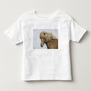 Iceland. Portrait of an Icelandic horse. Toddler T-shirt