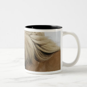 Iceland. Portrait of an Icelandic horse. Two-Tone Coffee Mug
