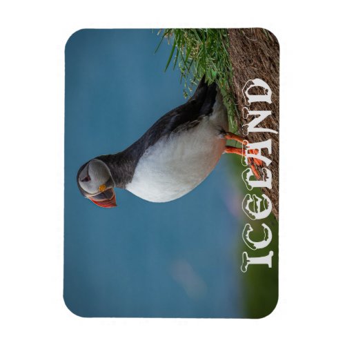 ICELAND PUFFIN MAGNET