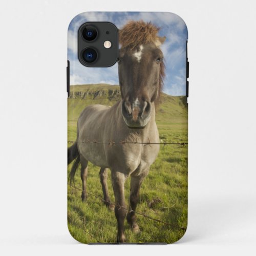 Iceland Reykjavik Frontal view of Icelandic iPhone 11 Case