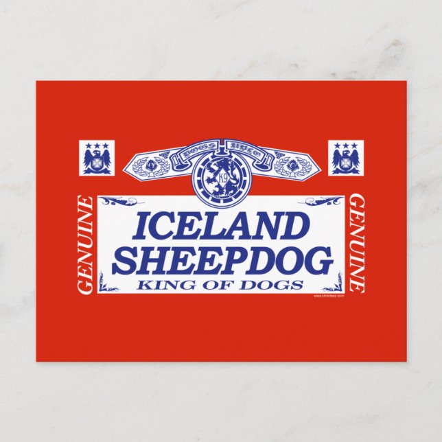 Iceland Sheepdog Postcard (Front)
