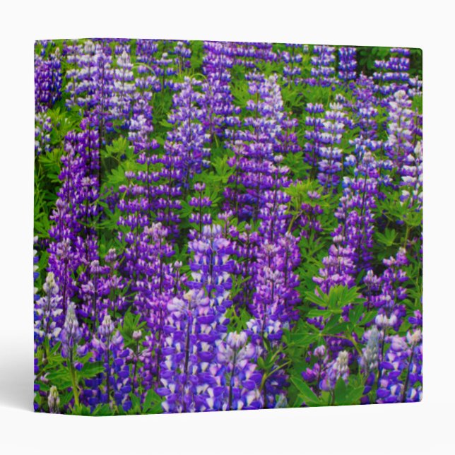 Iceland. Vik i Myrdal. Field of Lupines Binder (Front/Spine)