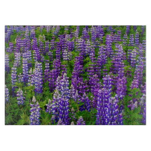 Iceland Vik i Myrdal Field of Lupines Cutting Board