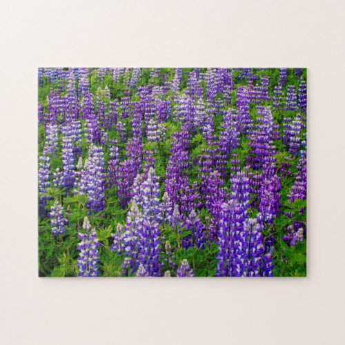 Iceland Vik i Myrdal Field of Lupines Jigsaw Puzzle