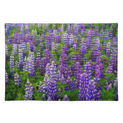 Iceland Vik i Myrdal Field of Lupines Placemat