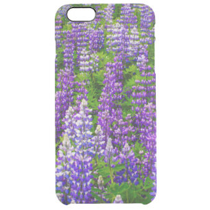 Iceland. Vik i Myrdal. Field of Lupines Clear iPhone 6 Plus Case