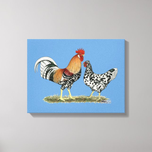 Icelandic Chickens Canvas Print (Front)