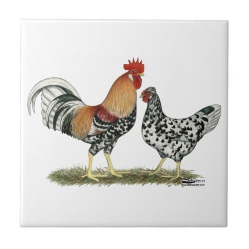 Icelandic Chickens Ceramic Tile