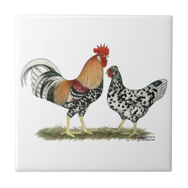Icelandic Chickens Ceramic Tile (Front)