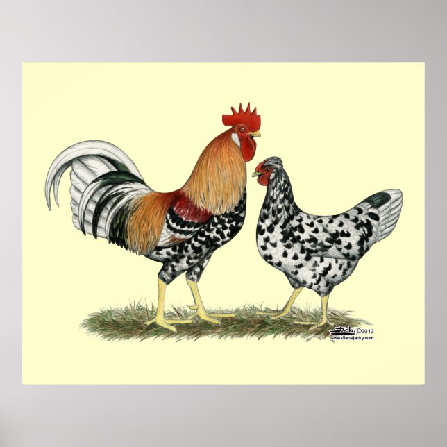 Icelandic Chickens Poster (Front)