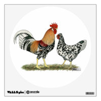 Icelandic Chickens