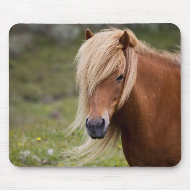 Icelandic Foal Mouse Pad (Front)
