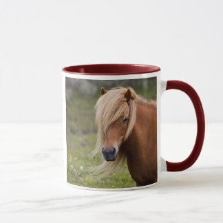 Icelandic Foal Mug