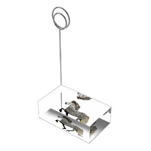 Icelandic Horse Art Deco Astrid Table Number Holder