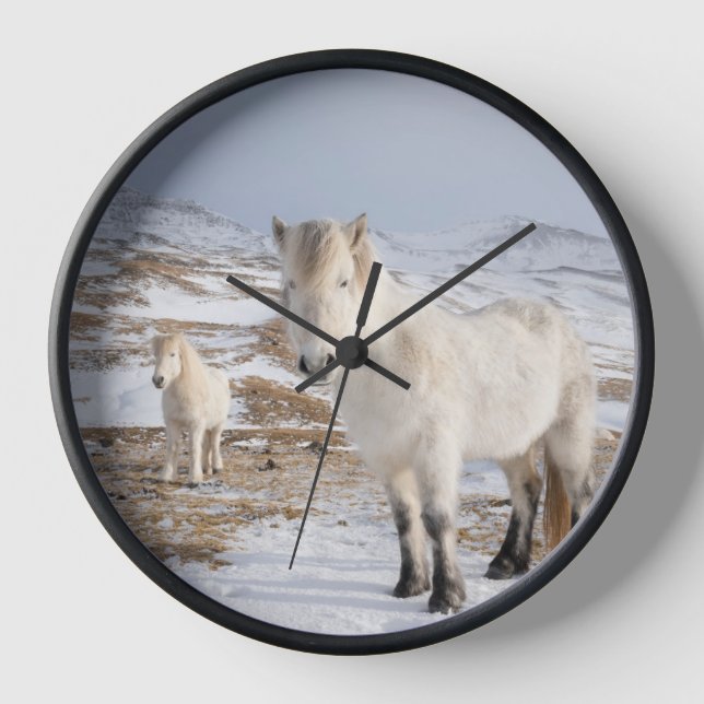 Icelandic Horse | Blonduos, Iceland Clock (Front)