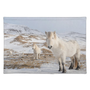 Icelandic Horse   Blonduos, Iceland Cloth Placemat