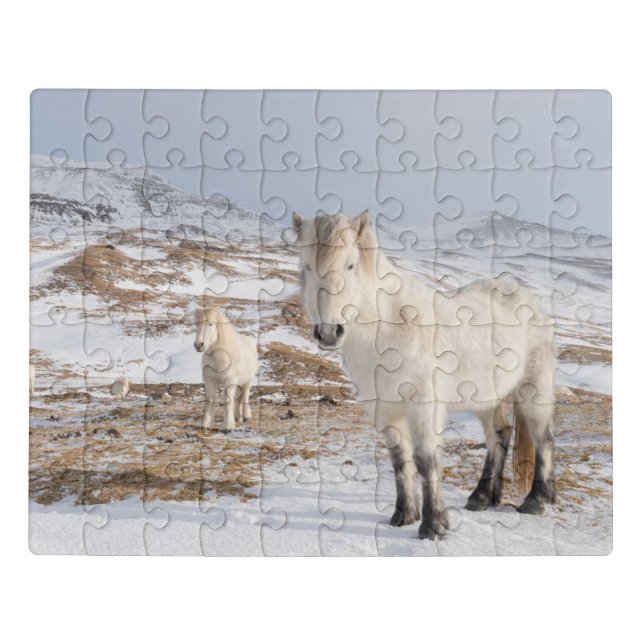 Icelandic Horse | Blonduos, Iceland Jigsaw Puzzle (Puzzle Horizontal)