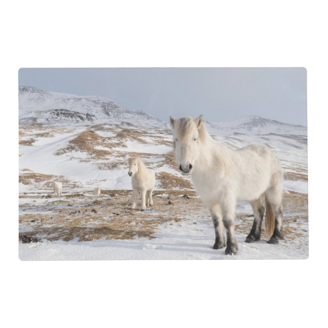 Icelandic Horse | Blonduos, Iceland Placemat (Front)