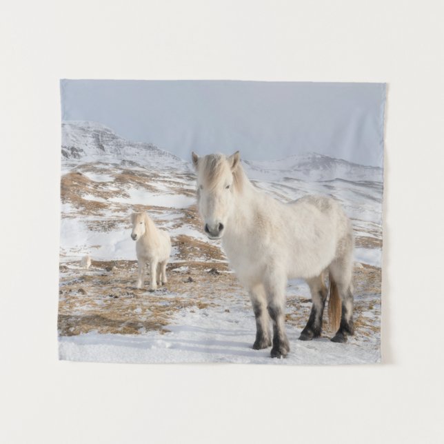 Icelandic Horse | Blonduos, Iceland Tapestry (Front (Horizontal))