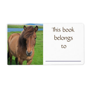 Icelandic Horse book label