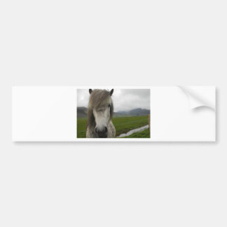Icelandic Horse Bumper Sticker