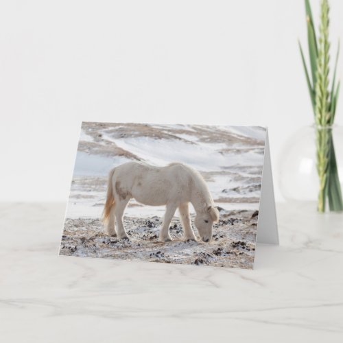 Icelandic Horse Card